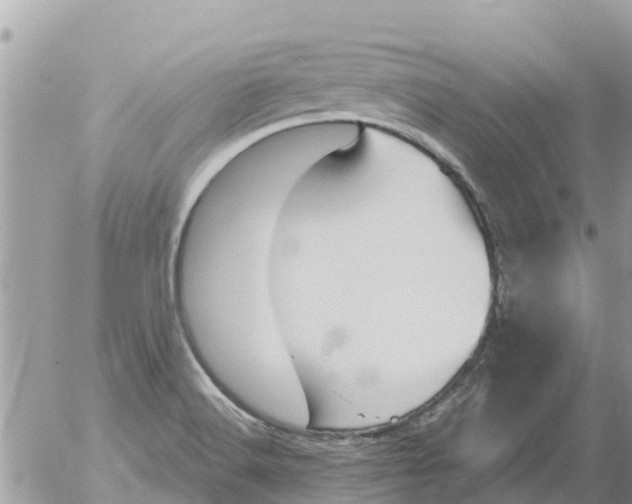 X0000054441516200508262359