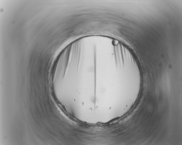 X0000054441517200508262359