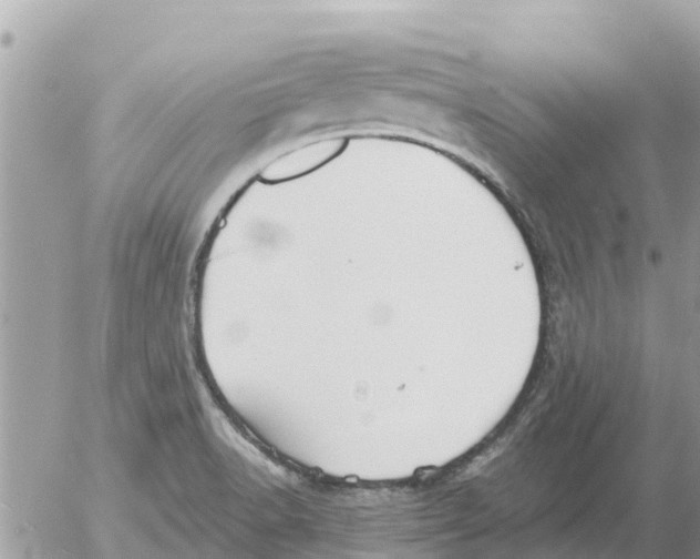 X0000054441518200508270000