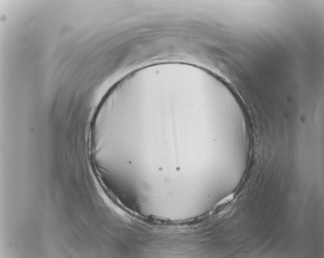 X0000054441519200508270000