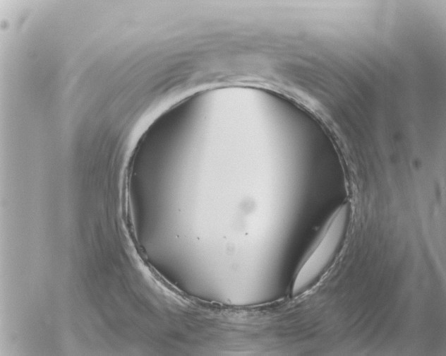 X0000054441520200508270000