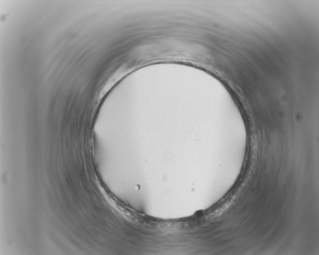 X0000054441521200508270000