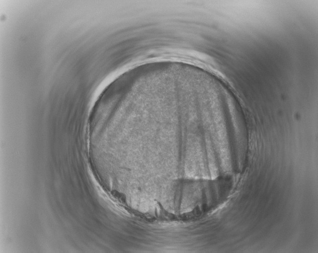 X0000054441522200508270000