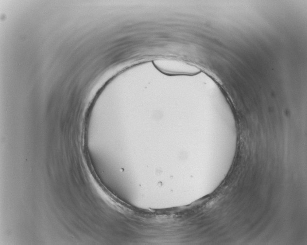 X0000054441523200508270000