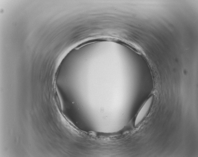 X0000054441524200508270000