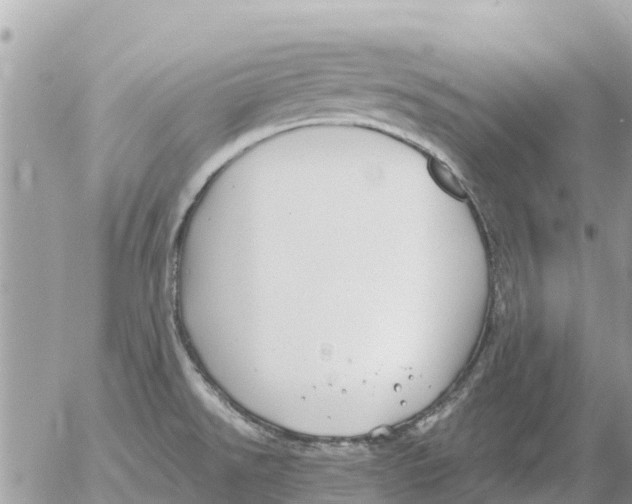 X0000054441526200508270000