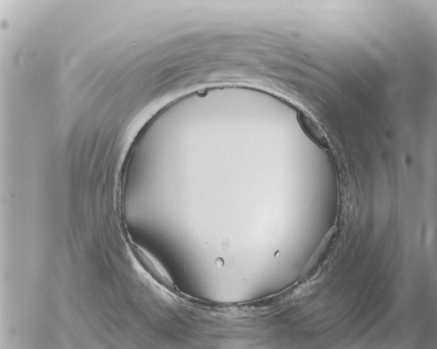 X0000054441527200508270000