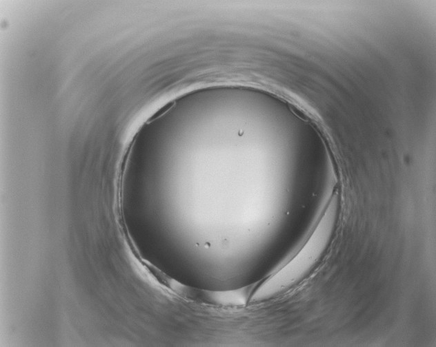 X0000054441528200508270000