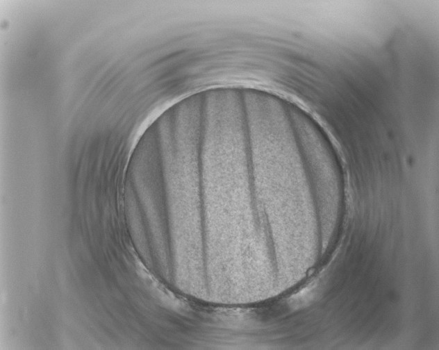 X0000054441529200508270000