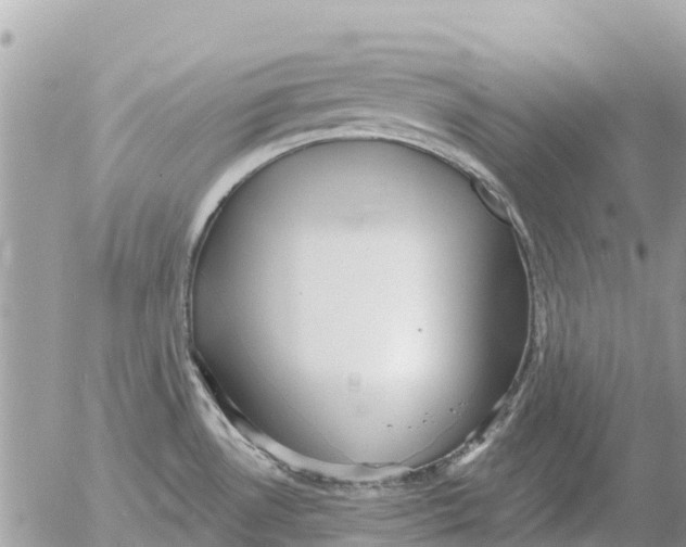 X0000054441530200508270000