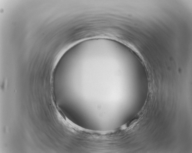 X0000054441532200508270000