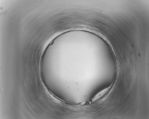 X0000054441533200508270000