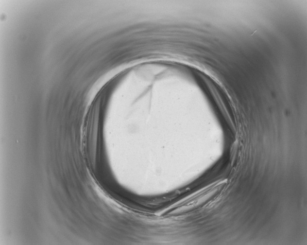 X0000054441535200508270000