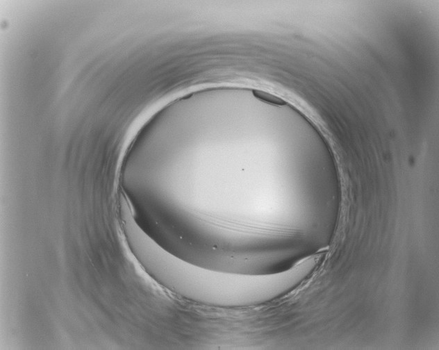 X0000054441536200508270000