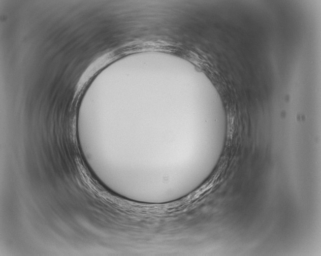 X0000054450004200507291003