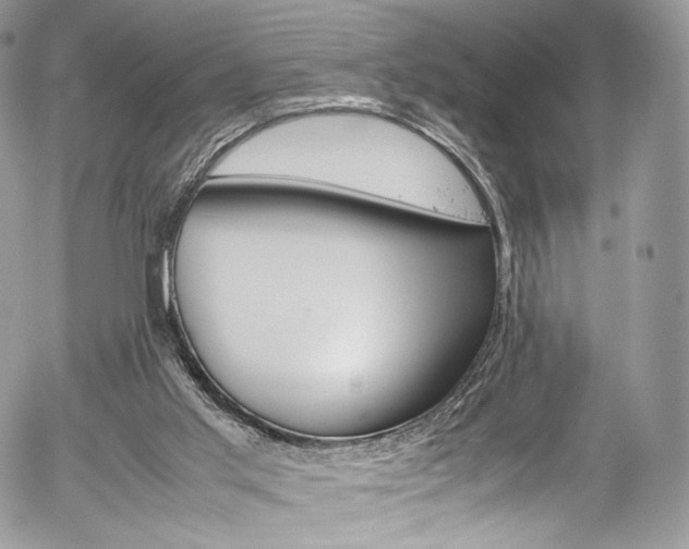 X0000054450013200507291003