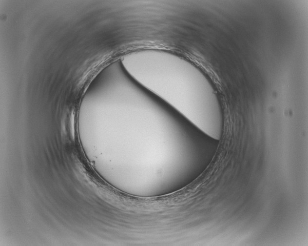 X0000054450014200507291003