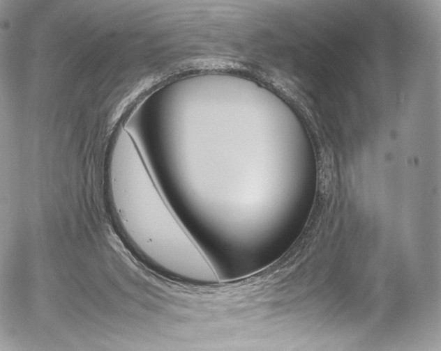 X0000054450015200507291003