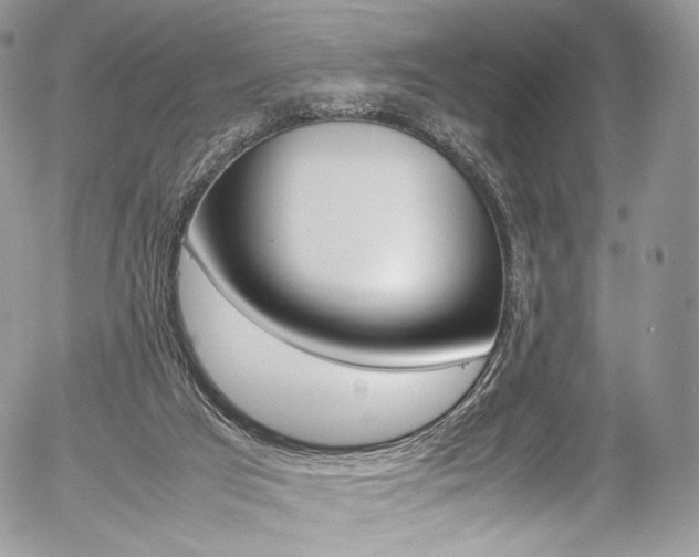 X0000054450017200507291003