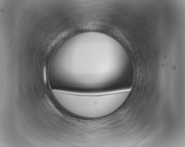 X0000054450020200507291003