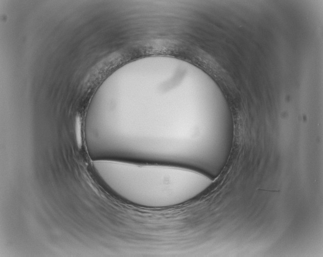 X0000054450022200507291003