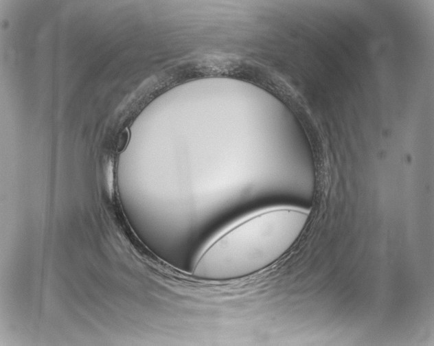 X0000054450027200507291003
