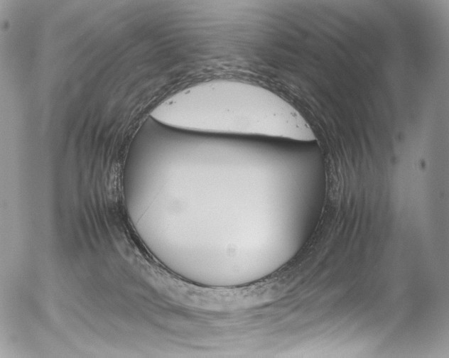 X0000054450034200507291002