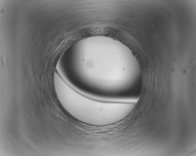 X0000054450035200507291002