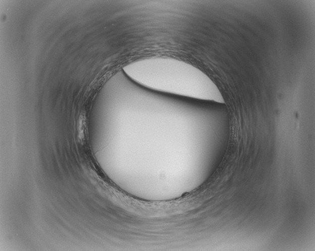 X0000054450038200507291002