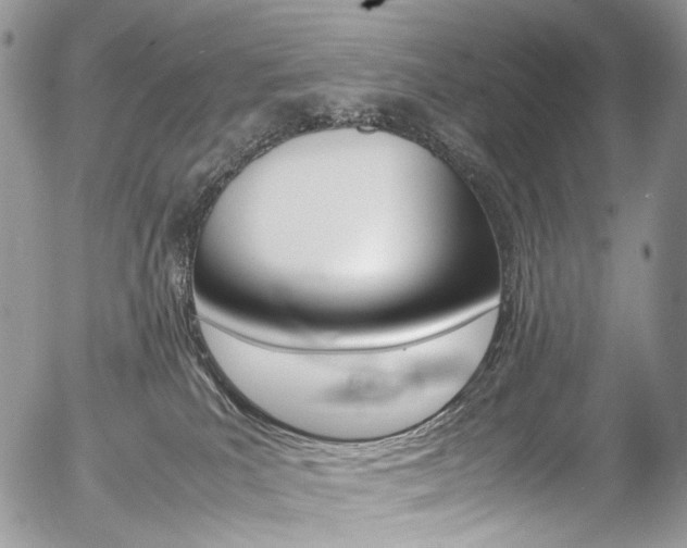 X0000054450039200507291002