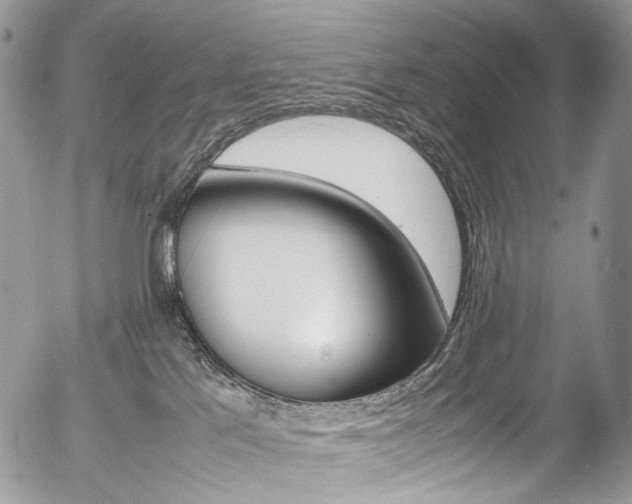 X0000054450041200507291002