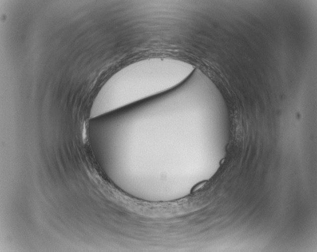 X0000054450042200507291002