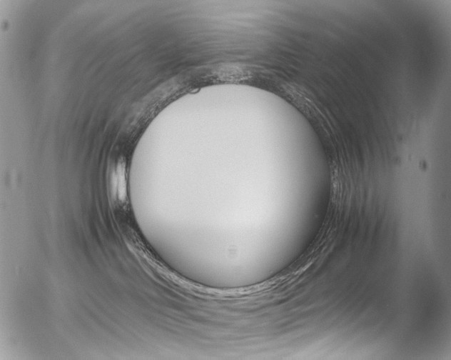 X0000054450046200507291002