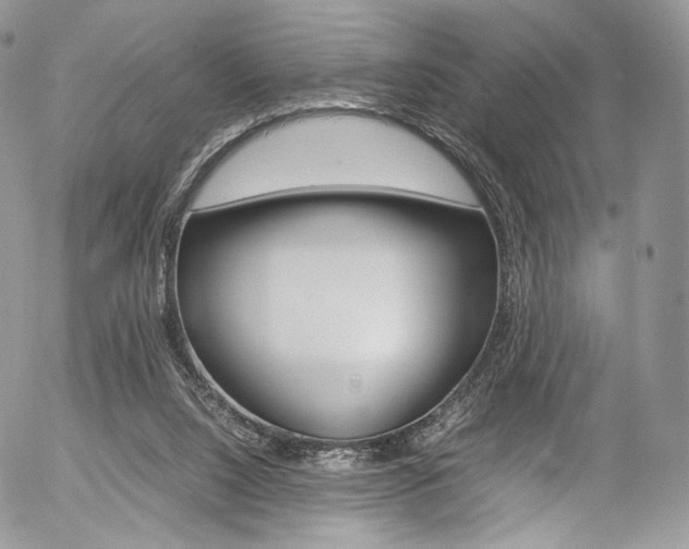 X0000054450064200507291002