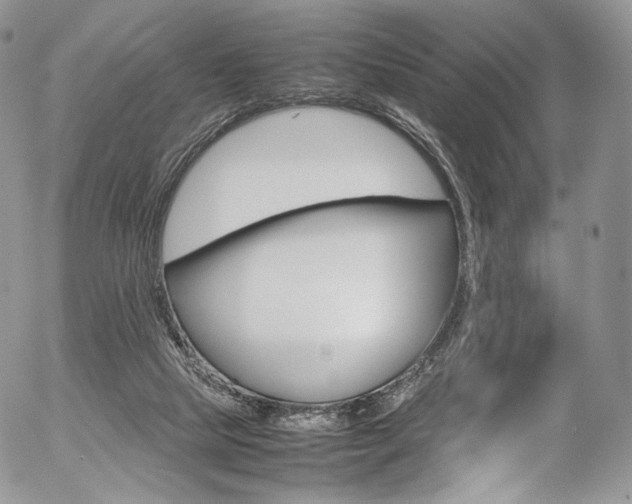 X0000054450065200507291002