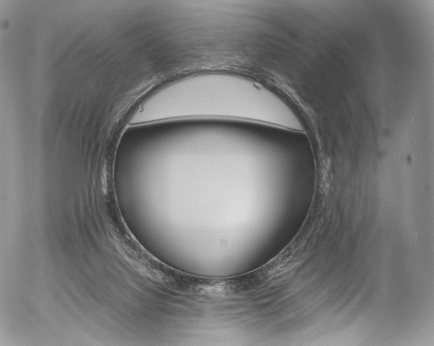 X0000054450068200507291002