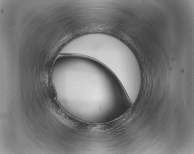 X0000054450072200507291002