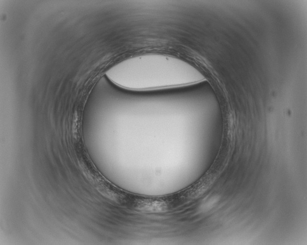 X0000054450073200507291002