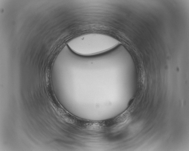 X0000054450074200507291002