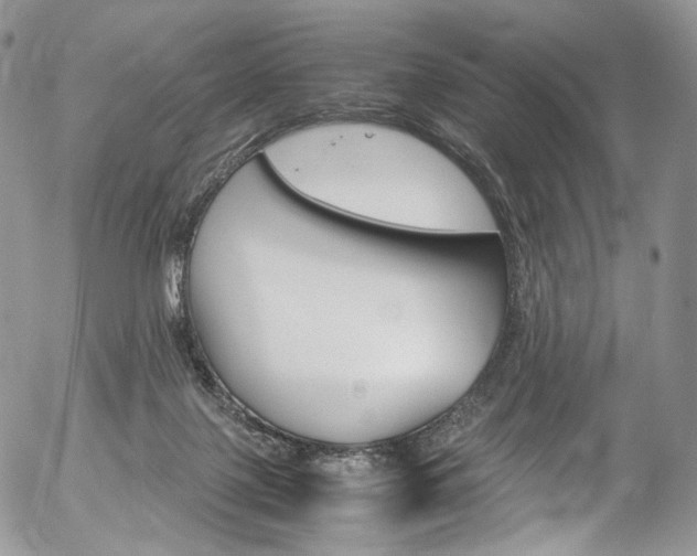 X0000054450075200507291002