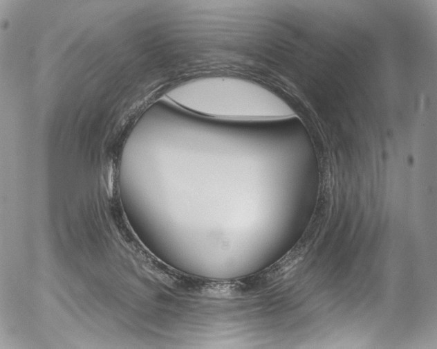 X0000054450076200507291002