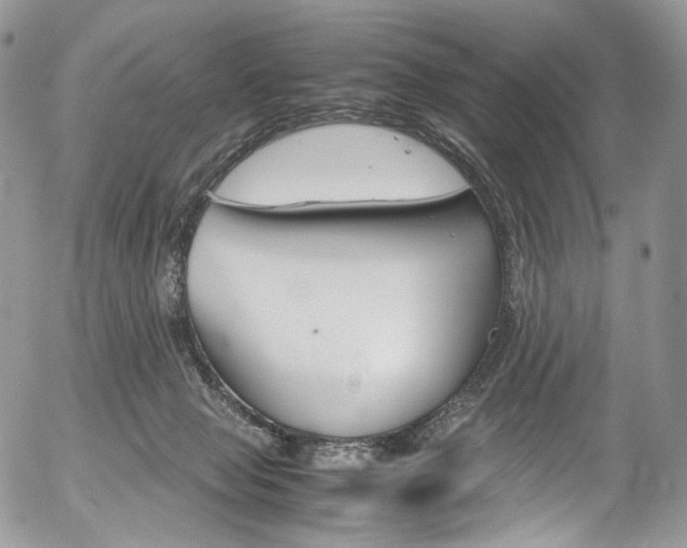 X0000054450077200507291002