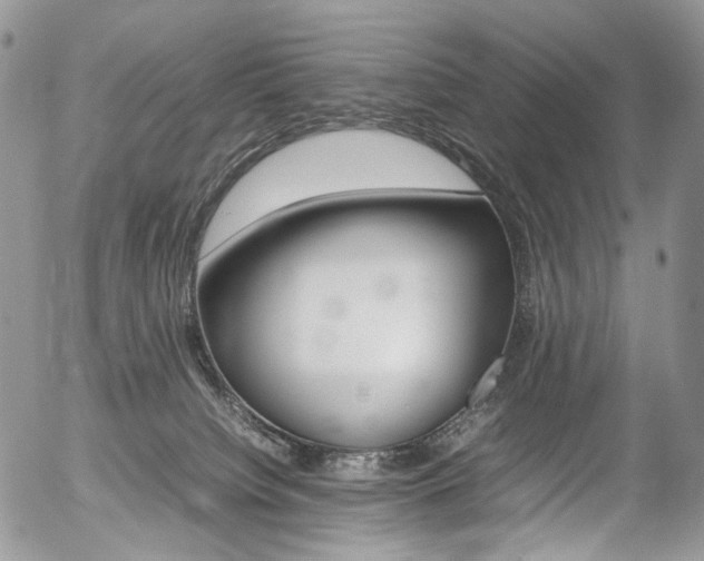 X0000054450084200507291002