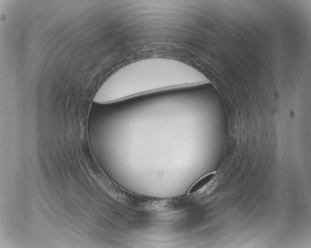 X0000054450086200507291002