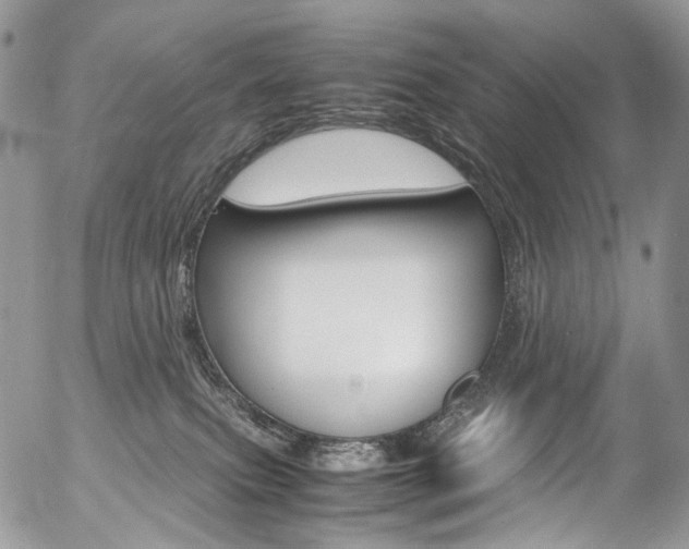X0000054450087200507291002