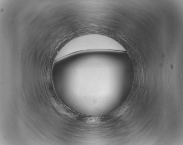 X0000054450088200507291002