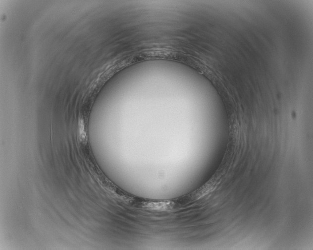 X0000054450089200507291002