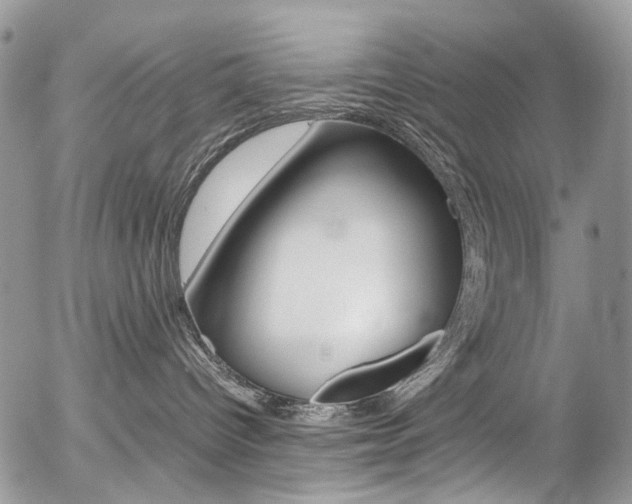 X0000054450096200507291002