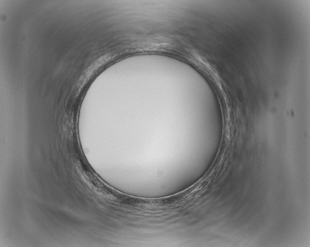 X0000054450107200507291001