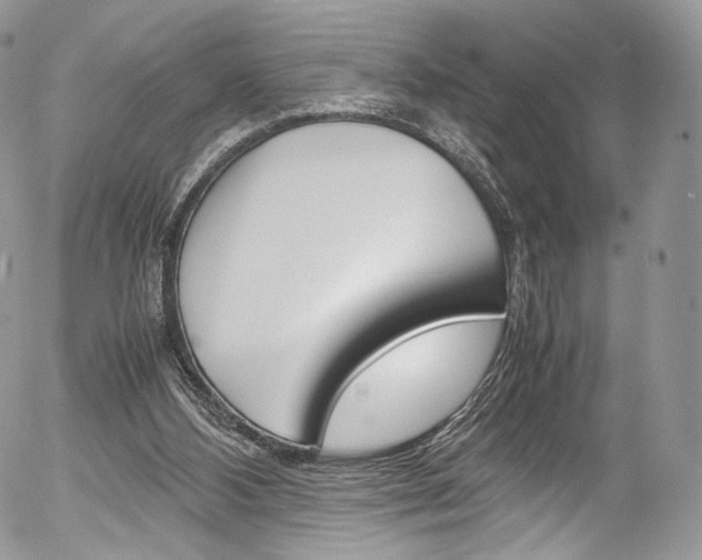 X0000054450108200507291001